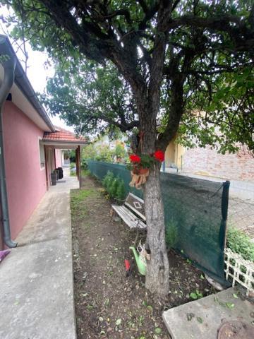 Apartman Milica Požarevac Extérieur photo